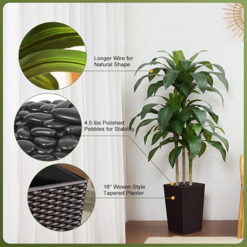 VeriNatural 6FT Artificial Dracaena Tree - UV Resistant Faux Tropical Plant, Potted Fake Tree with Taper Planter & Pebbles - Indoor Outdoor Greenery for Home, Porch, Living Room, Bedroom Decor, VN127 - color: Espresso Brown, size: 6ft