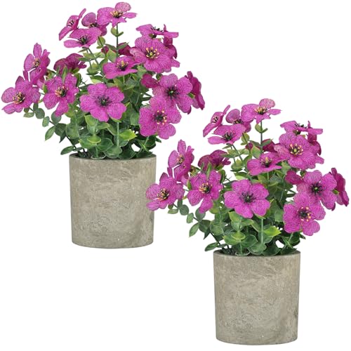 2 Pack Small Fake Plants Potted Artificial Plants Artificial Flowers Potted Faux Flower Daisy with Eucalyptus Leaves for Home Decor Office Room Farmhouse Indoor Table Bathroom Decor（Purple） - color: Purple