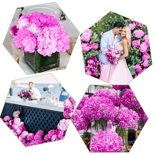 Coferset 5pcs Hydrangea Artificial Flowers Real Touch 20 inch Lifelike Hydrangea Flower for Home Wedding Office Party Living Room Decoration (Dark Fuchsia) - color: Dark Fuchsia