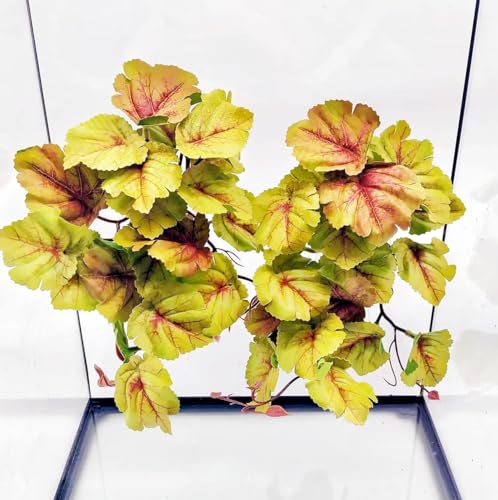 2 Pack Reptile Plants for Terrarium, Amphibian Habitat Decor Artificial Hanging Plants with Suction Cup, Gecko Chameleon Snake Tortoise Tank Accessories-Fake Heuchera Micrantha Yellow - color: Heuchera Micrantha Yellow