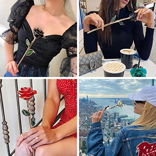 Anniversary Birthday Gifts for Women Forever Gold Dipped Rose Christmas Women Gifts 24k Gold Plated Eternal Flower Love Romantic Rose Gifts Box for Anniversary Valentines Day,Mothers Day,Birthday(red) - color: Red