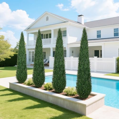 Artificial Cedar Topiary Trees, 6FT Topiary Trees Artificial Outdoor UV Resistant, Realistic Potted Fake Pine Plants Shrubs for Front Porch Home Garden Decor, Set of 2 - size: 6FT (71inch)