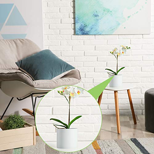 Chuangdi 6 Pcs 10.9 Inch Faux Orchid Leaves Artificial Orchids Leaves Phalaenopsis Stems Leaf Green Leaf Plants Green Faux Stem Latex Cymbidium Stems for Flowers Arrangements Pot Decoration - size: 10.9 Inch