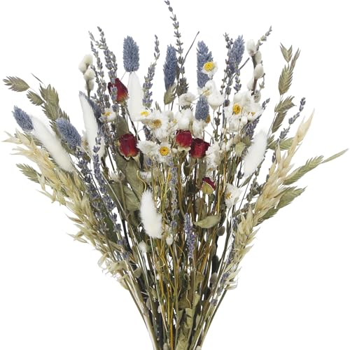 Natural Dried Flower Bouquet Dried Rose Lavender Straw Daisy Flowers White Bunny Tails Pussy Willow Floral Stems Arrangements for Vase Wedding Table Centerpiece Farmhouse Home Decor 17 Inch - color: Natural Flowers