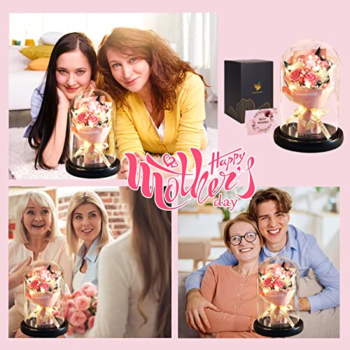 Mothers Day Rose Gifts, Flower Gifts for Women,Rose in Glass Dome with 2 Light Modes,Light Up Rose Flowers,Valentines Anniversary Birthday Gifts for Women, Mom, Wife, Girlfriend - color: Romantic Rose