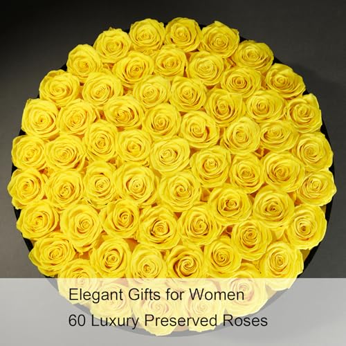 Gifts for Women – NATROSES 60 Preserved Roses in Luxury Black Velvet Box, Preserved Flowers for Delivery Gift for Her, Elegant Rose for Birthday, Mother’s Day, Christmas (Yellow) - color: Yellow, size: 60 Roses