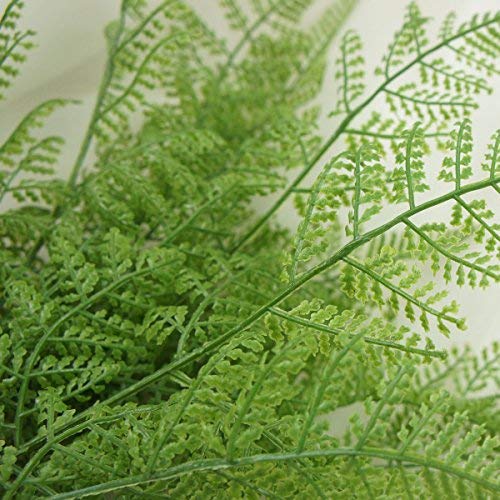 18" Artificial Soft Plastic Fern - Package of 3 (Rabbit's Foot) - color: Rabbit's Foot