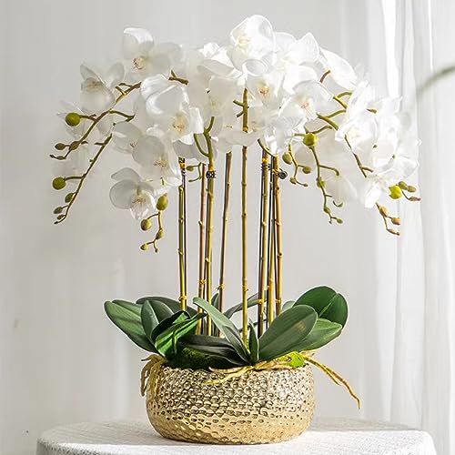 HinyoCo 5 Pcs Artificial Orchid Flowers,Artificial Phalaenopsis Flowers 32 Inch Stem Plants for Home Wedding Decoration (White) - color: White