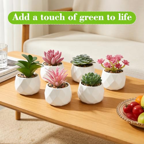 Artificial Succulents, Set of 6, White Plastic Pots | Small Fake Desk Plants, Realistic Succulent Plants, For Shelf Bedroom Balcony Windowsills Office Room Decor