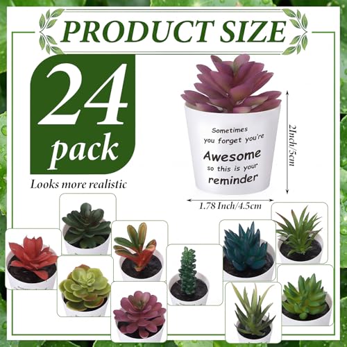 24 Set Artificial Faux Succulents in Pots Mothers Day Mini Fake Plants Plastic Artificial Plants Sometimes You Forget You're Awesome for Mother Gift Employee Nurses Coworker Colleague Teachers