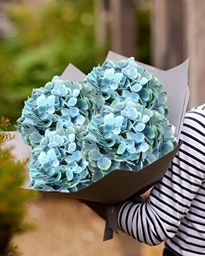 Artificial Blue Hydrangeas Tall Artificial Hydrangea Stems 26" Faux Hydrangea Silk Flowers Fake Hydrangea Resuable for Party,Home,Office Decor, Artificial Flower Perfect for Wedding Decor Gift-3 - color: Aqua Blue #3, size: 3PCS