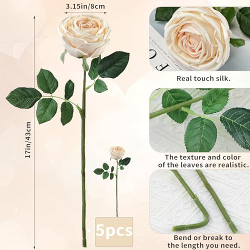 5Pcs Champagne Real Touch Silk Flowers - Lifelike Roses Peony | Lifelike champagne roses & peonies with soft latex touch, no watering needed. Perfect for wedding bouquets, home decor & DIY - color: Champagne