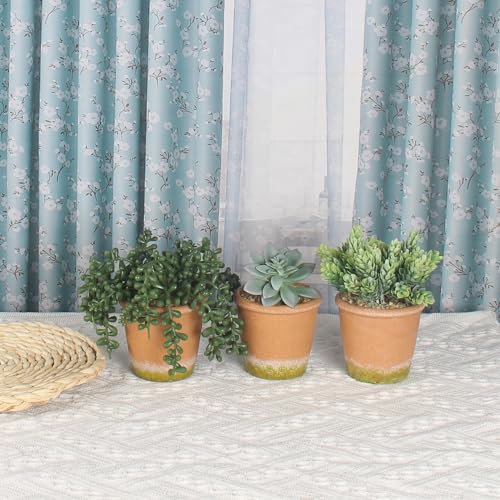 COTSEN 3 Pcs Artificial Succulent Plants Potted False Succulent Plants Potted Faux Potted Plant Family Office Bookshelf Decor