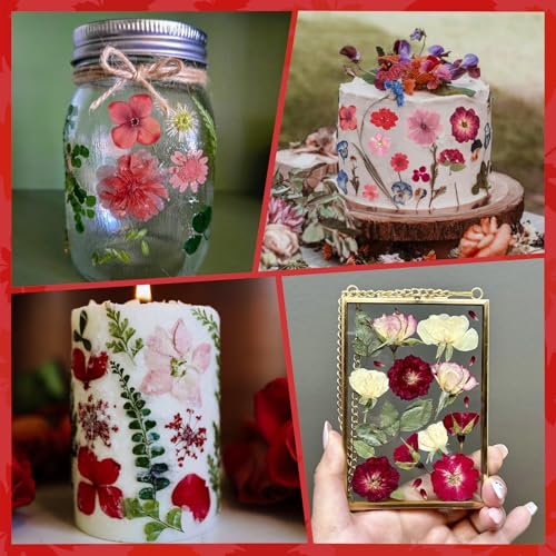 101 PCS Red Dried Pressed Flowers for Christmas Crafts Resin, Red Real Nature Flowers Bulk for DIY Holiday Cake Card Scrapbook Supplies, Large Dried Flowers for Soap Candle Making - size: Red