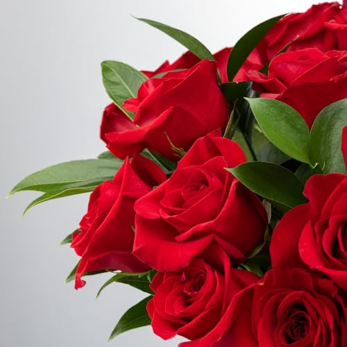 Benchmark Bouquets - Red Roses Bouquet - Fresh Flowers for Delivery - Two Dozen Long Stem Roses - Mothers Day Flowers for Mom - Mothers Day Gifts for Mom - Mothers Gifts (Glass Vase Included) - style: Deluxe