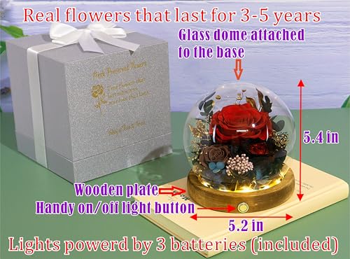 Valley of Rain & Forest Long-Lasting Real Flowers With Delivery | Unique Floral Gift For You to Send Love for All Occasions, Aesthetic Home Decor (Preserved Red Black Roses Arrangement) - color: Red Rose, Brown Rose, Black-Red Austin Rose