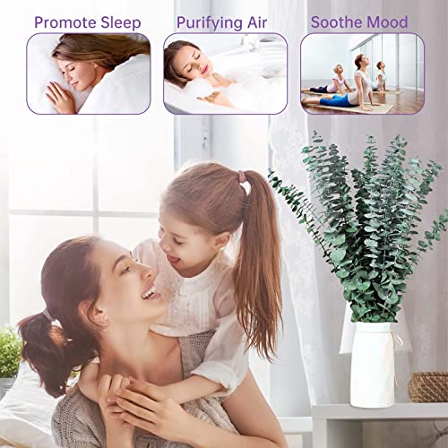 Tavkite 20 Pcs Dried Eucalyptus Stems for Shower, 17'' Natural Real Preserved Eucalyptus Leaves Branches Hanging, Fresh Plant Bundle for Home SPA Bathroom Wedding Wall Vase Decor, Bath Essentials - size: 20PCS