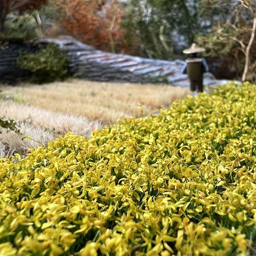 120 Pcs 8-Color Miniature Tea Garden Grass Tufts - Static Artificial Grass Plants for Diorama, Model Railway, Train Scene Decoration,Ages 14+ (0.8cm) (Autumn Yellow) - color: Autumn Yellow