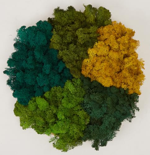 Preserved Reindeer Moss Natural Green DIY Kit Gardenning Art Wall Decor Florist Decor Easter Table Decor Wedding - color: Style-13, size: 1 lb