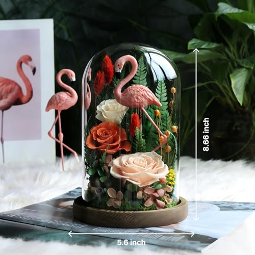 Eternal Flowers with Flamingo-Big Flower Big Love- Graduation Flowers Gifts for Daughter Wife Mom-Forever Flower in Glass Dome-Flowers for Delivery Prime on Anniversary Valentines Birthday(Champagne) - color: Champagne