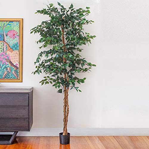 Nearly Natural 7ft Triple Trunk Artificial Ficus Tree with Natural Wood Trunks, Fake Tree For Indoor Home Decor, Faux Ficus Tree with Black Nursery Pot - size: 7ft, style: Tree in Pot