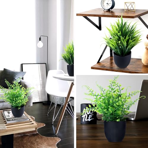 GREENTIME 2 Pack Fake Plants in Black Pot Small Artificial Plant Wheat Grass for Home Decor Faux Fern Greenery Indoor Bathroom Shelf Home Office Desk Bedroom Cabinet Kitchen Table Decorations - color: Black-2
