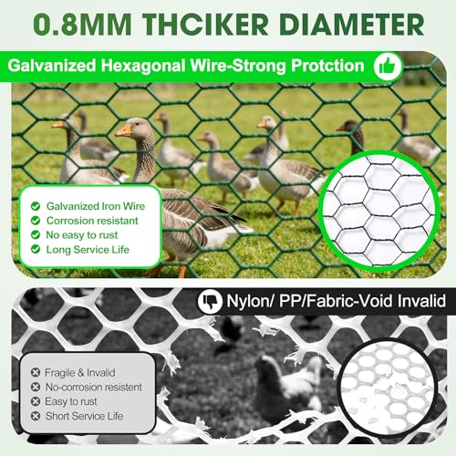 Chicken Wire for Floral Arrangements, 16 Inch x 16.4 Ft Green Chicken Wire Fencing Mesh for Crafts Poultry Garden, 0.6 Inch Hexagonal Galvanized PVC Coated Netting Fence for Outdoor Plants - size: 16x197 inch