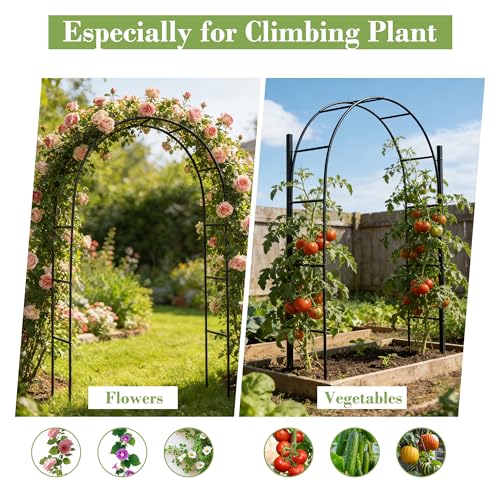 Metal Arbor Frame Stand, Garden Arch Trellis for Plants, Wedding Decor Backdrop Flower Stand, 7.9 * 4.6 FT - color: Black