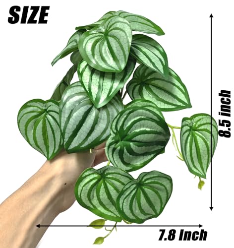 Woyrise 2 Pack Reptile Plants, Terrarium Hanging Plant Vines, Artificial Leaves with Suction Cup, Bearded Dragon Tank Accessories for Gecko Lizard Snake Frog Tortoise Decorations - Calathea Orbifolia - color: Calathea Orbifolia