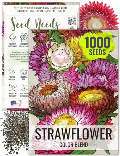 Seed Needs Strawflower Seeds for Planting Mixed Annual Cut Flowers 1 Pack - size: 1 Pack