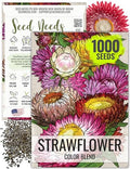 Seed Needs Strawflower Seeds for Planting Mixed Annual Cut Flowers 1 Pack - size: 1 Pack