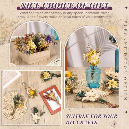 Layhit 24 Pcs Boho Dried Flower Bouquet Mini Wedding Handmade Dry Flowers Decor for Vase Crafts DIY Photo Boutonniere for Men Floral Plant for Bridesmaid Gift Birthday Decor (Vivid) - style: Vivid