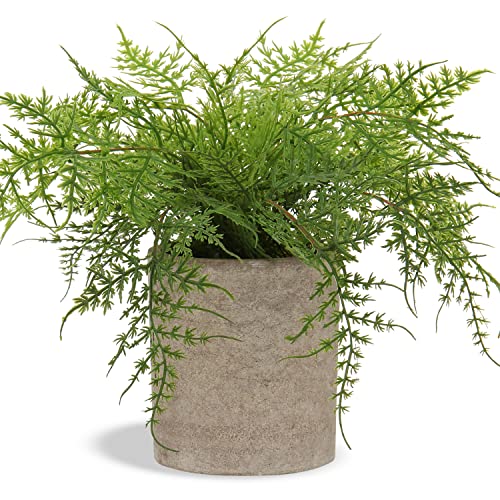 Hollyone Small Fake Plant Potted Plants Artificial Decor Silk Ferns Plant Faux Plants in Pots for Home Living Room Bedroom Desk Bathroom Window Shelf Farmhouse Decoration - color: 1 Pack - Style 3