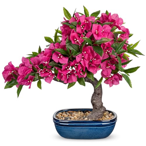 Briful Artificial Bougainvillea Bonsai Tree 18.5" Silk Bougainvillea Plant with Blue Pot Fake Bougainvillea Floral Tree for Home Office Room Desk Shelf Zen Décor(Hot Pink) - color: Pink Blue