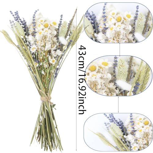 Dried Flowers Bouquet Dried Daisy Flowers Natural Lavender Dried Flowers Bunny Tails Gerber Daisies Flowers Wheat Stalks Floral Arrangements for Wedding Table Centerpiece Decor Farmhouse DIY - color: Natural