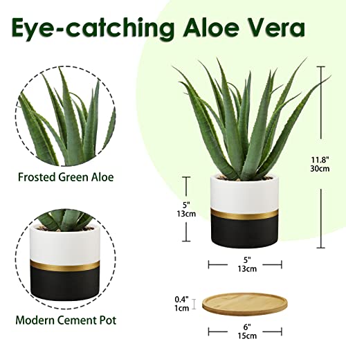 Briful Succulents Artificial Plants Fake Aloe Vera Plants in Gold and Black Pot Farmhouse Faux Agave Plant for Home Office Desk Bathroom Shelf Decorations - color: Agave Greenery#008
