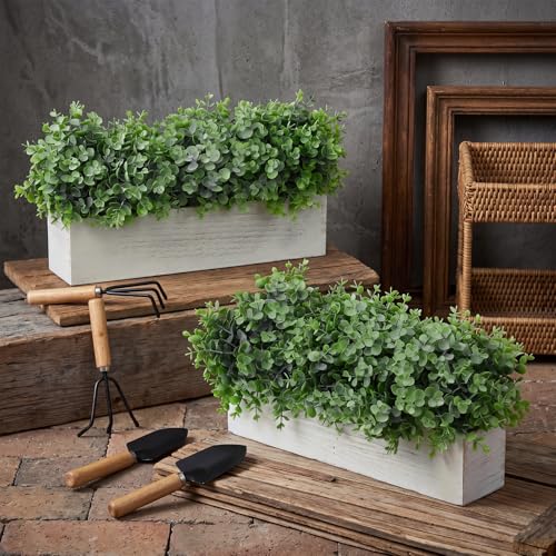 Lyrow 2 Pack Artificial Eucalyptus Plant in Rustic Rectangular Wooden Planter Box Greenery Faux Potted Herb Plant for Indoor Wedding Table Centerpiece (Green,16 x 3.7 x 8.7 Inches,Classic Style) - color: White, size: 16.1 Inch, style: White Powdered Round
