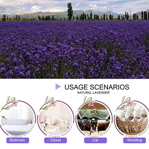 Dried Lavender Flowers, Dry Lavender Buds Bulk for Wedding Toss, Crafts, Sachets - 1/2 Pound - size: 1/2 Pound