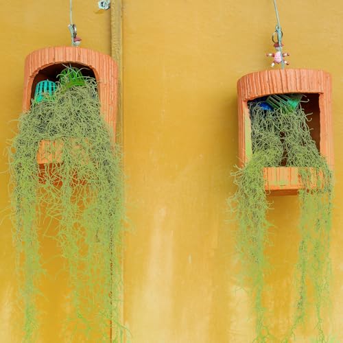 Giegxin Spanish Moss 41'' Fake Hanging Succulents Faux Moss Artificial Succulent Plants Vines Hanging Plants Swamp Decoration Potted Artificial Garland(Grayish Green,12 Pack) - color: Grayish Green