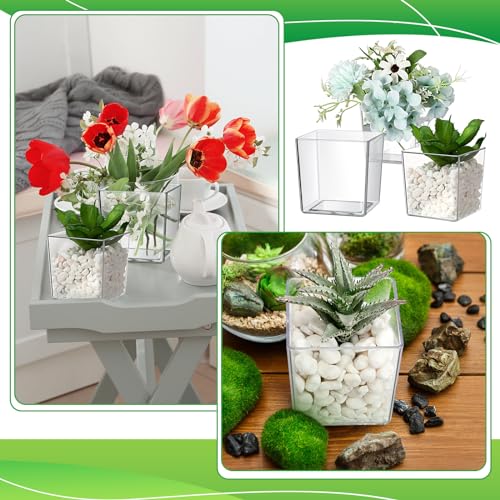 Tioncy 3'' x 3'' 24 Pcs Cube Clear Flower Vase Acrylic Flower Vase Square Acrylic Container Cube Decorative Centerpiece for Plant Home Office Floral Decor - size: 3'' x 3''