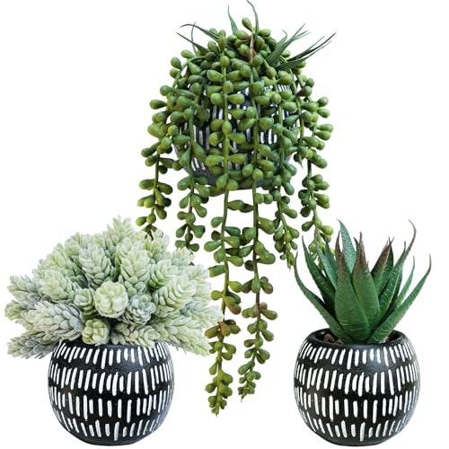 Winlyn Set of 3 Small Artificial Succulent Potted Plants Faux Aloe Hops Hanging Succulent in Black Concrete Planters for Gift Home Office Bathroom Living Room Wedding Windowsill Table Shelf Desk Décor - color: Black Pot
