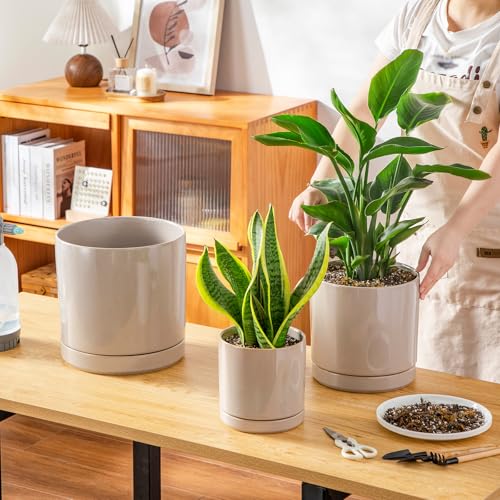 vancasso Ceramic Planters, Plant Pots for Indoor Plants, 6.25+8.25+10.25 Inch Ceramic Pots for Plants, Flower Pots with Drainage Holes (Gray, 6.25+8.25+10.25 Inch) - color: Gray, size: 6.25 + 8.25 + 10.25 Inch