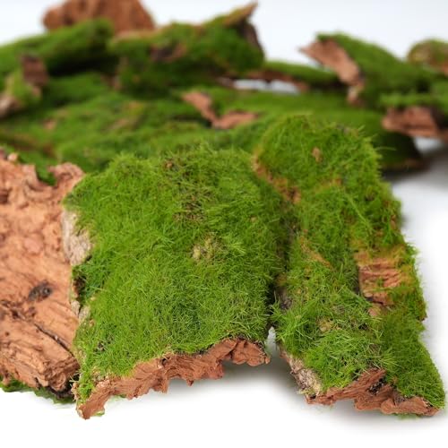 Assorted Artificial Moss Bark, Decorative Mossy Tree Bark for DIY Crafts, Fairy Gardens, Terrariums, Floral Arrangements (Realistic Green - 100gr)