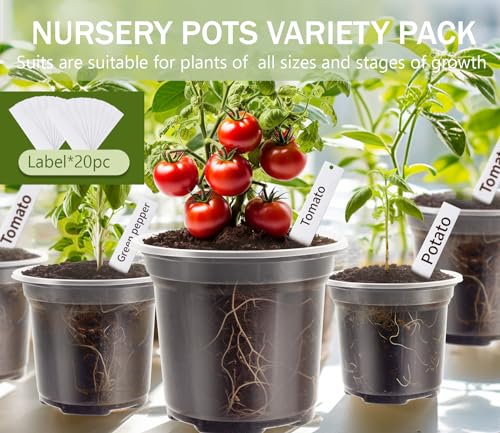 30 Packs Clear Nursery Pots for Plants, 3.5/4/5 Inch High Transparency Plastic Seedling Plant Pot with Drainage Holes, Includes 20 Labels - size: 3.5/4/5 in-30p