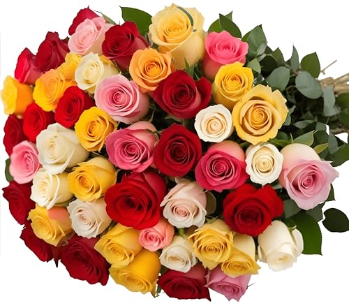 Pre-Book 50 Rainbow Roses Assorted Mixed Color | Bulk Roses by Arabella Bouquets | Real Fresh Flowers for Delivery, Gift for Birthday, Women, Congratulations, Anniversary, Mother's Day - color: Assorted, size: 50 Stems