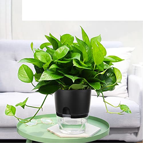 Vanavazon 6 Inch Self Watering Planter Pots for Indoor Plants, 3 Pack African Violet Pots with Wick Rope-Black - color: Black
