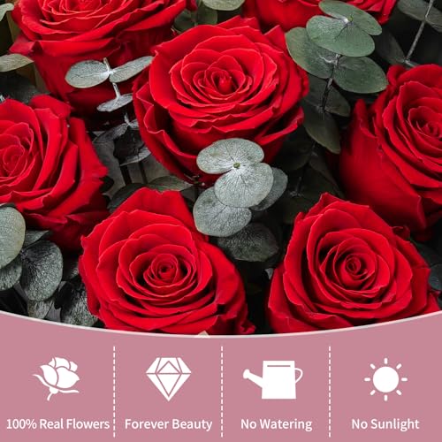 Lewondr Flower for Delivery, Preserved Flowers Bouquet, Red Roses Bouquet, Real Long-Lasting Forever Birthday Flowers Gifts for Her Wife Girlfriend Valentines Day Anniversary Mothers Day, Black-Red - color: Red