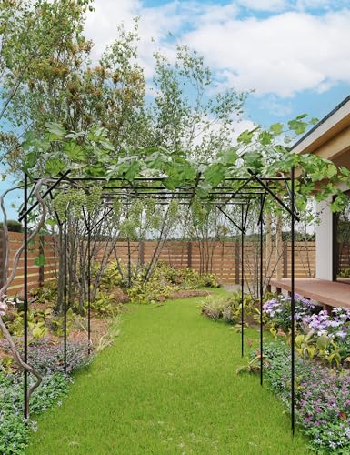 79.53" Metal Garden Arch Trellis, Dome/Flat Top Climbing Plant Support Arbor, Heavy Duty 20mm Steel Grape Trellis for Vine, Flower, Wedding Ceremony & Outdoor Garden Decor
