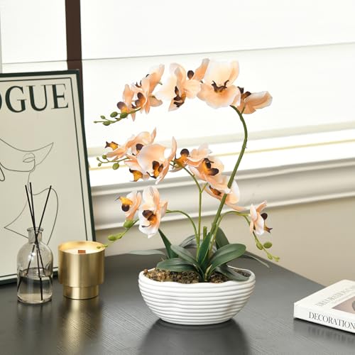 19" H Phalaenopsis Faux Orchid Plant Silk Orchid Centerpiece Artificial Floral Arrangement in Ceramic Pot (Champagne) - color: Champagne