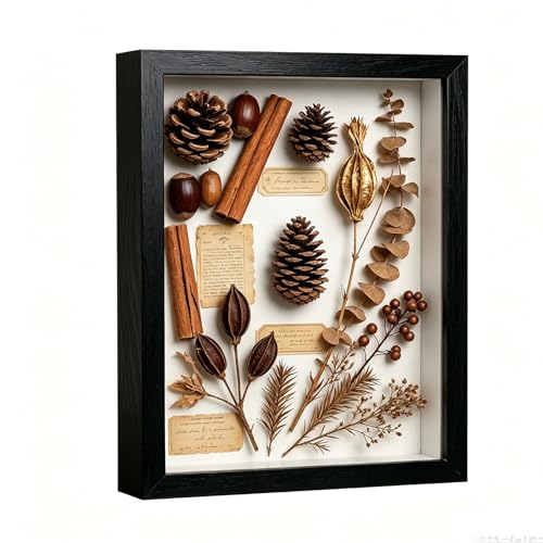 8x10 Shadow Box - Black Wooden Deep Picture Frame with Shatter-Resistant Panel for Wall Decor | 3D Display Case for Military Medals, Flowers, Photos and Crafts | Easy to Open & Ready to Hang Gift Idea - color: Black, size: 1Pcs 8X10in